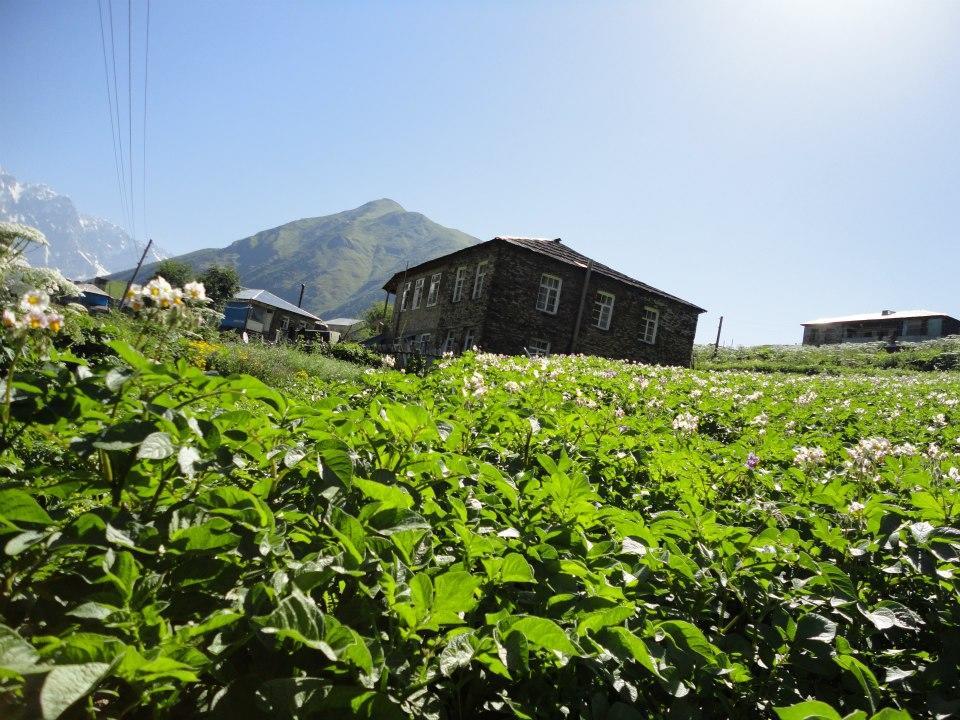 أوشغولي Caucasus Guesthouse المظهر الخارجي الصورة